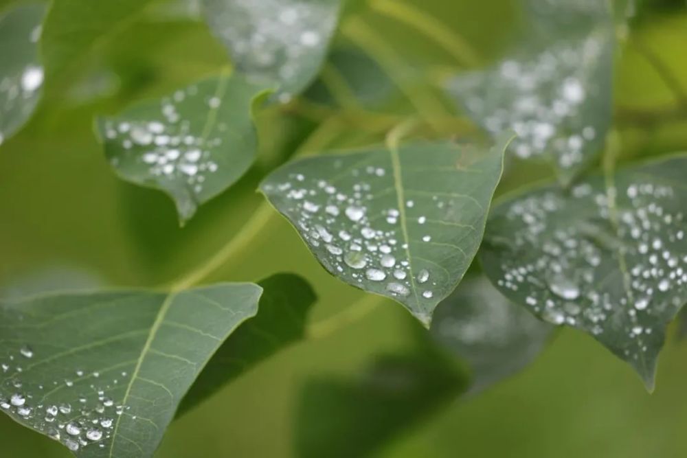 明镜|繁华落尽，给自己的人生留一点白