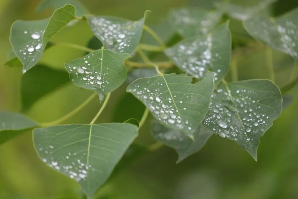 明镜|繁华落尽，给自己的人生留一点白