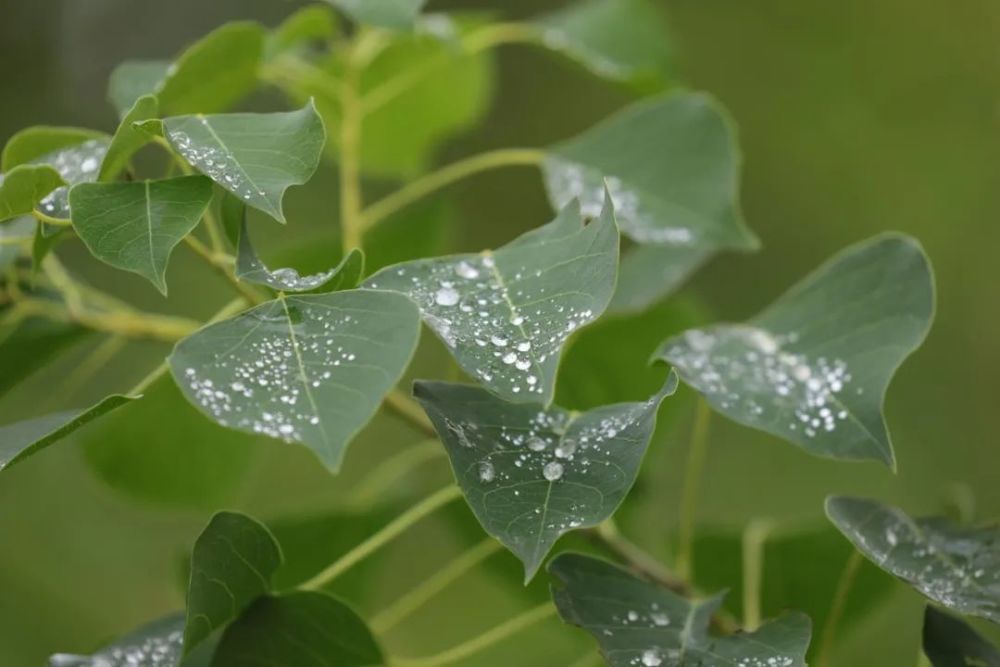 明镜|繁华落尽，给自己的人生留一点白