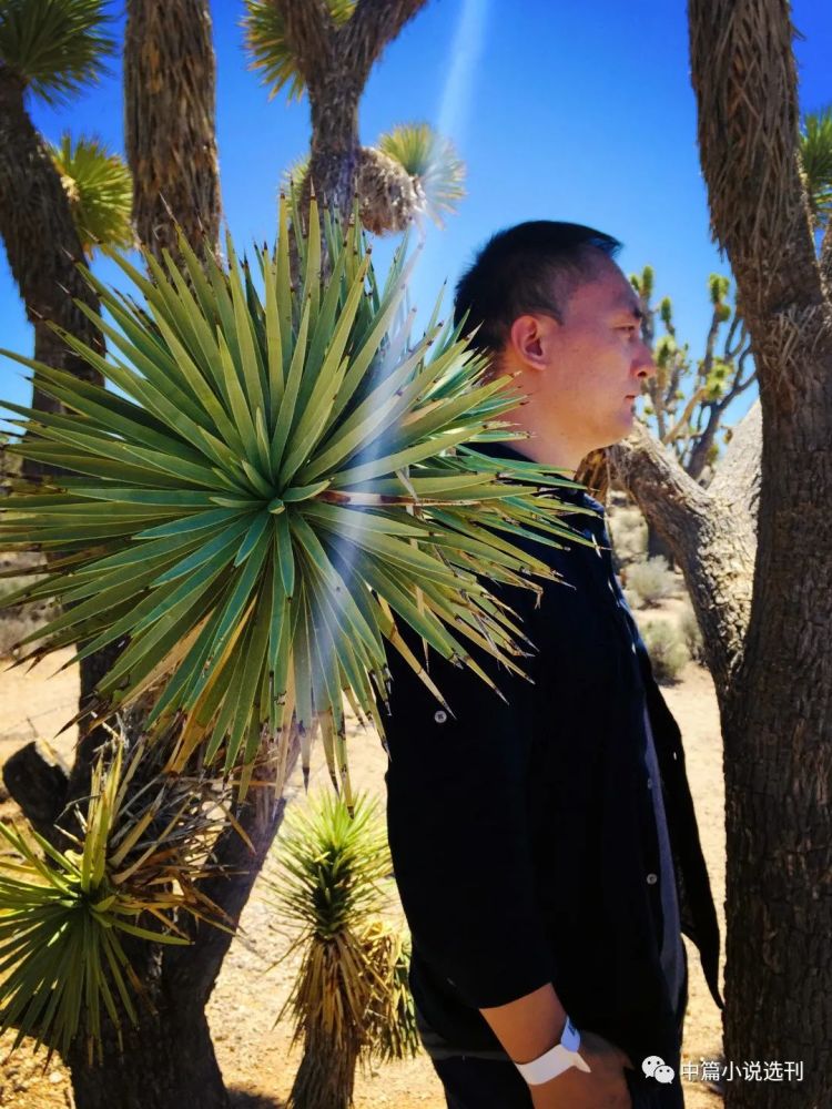 作家|作家影像 张楚