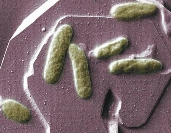 水滴发电机|异想天开的发电技术