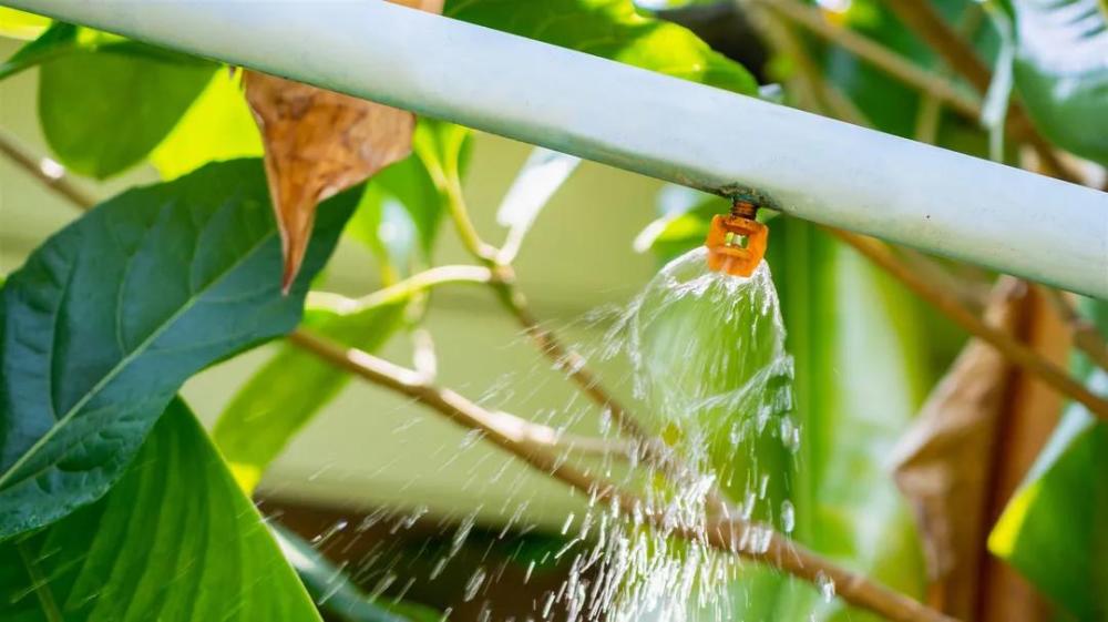 肥料|央视：人均每年“吃化肥”40斤！农业种植方式面临大洗牌