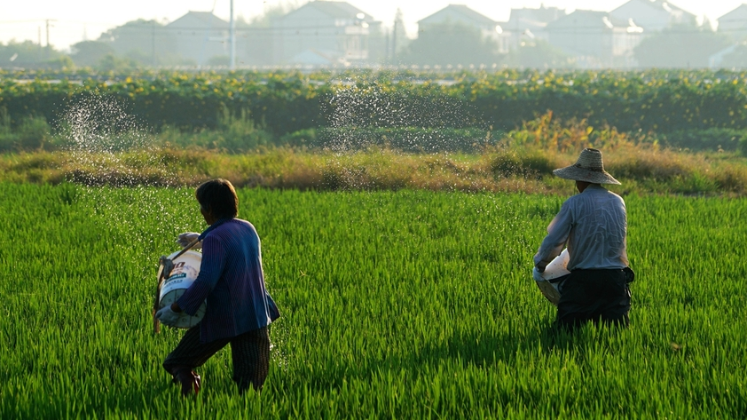 肥料|央视：人均每年“吃化肥”40斤！农业种植方式面临大洗牌