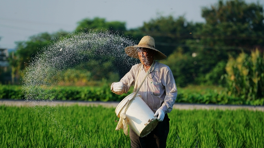 肥料|央视：人均每年“吃化肥”40斤！农业种植方式面临大洗牌