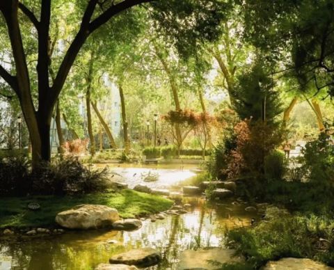 北京林业大学|北京林业大学打造校园新景观 临建房变“林之心”