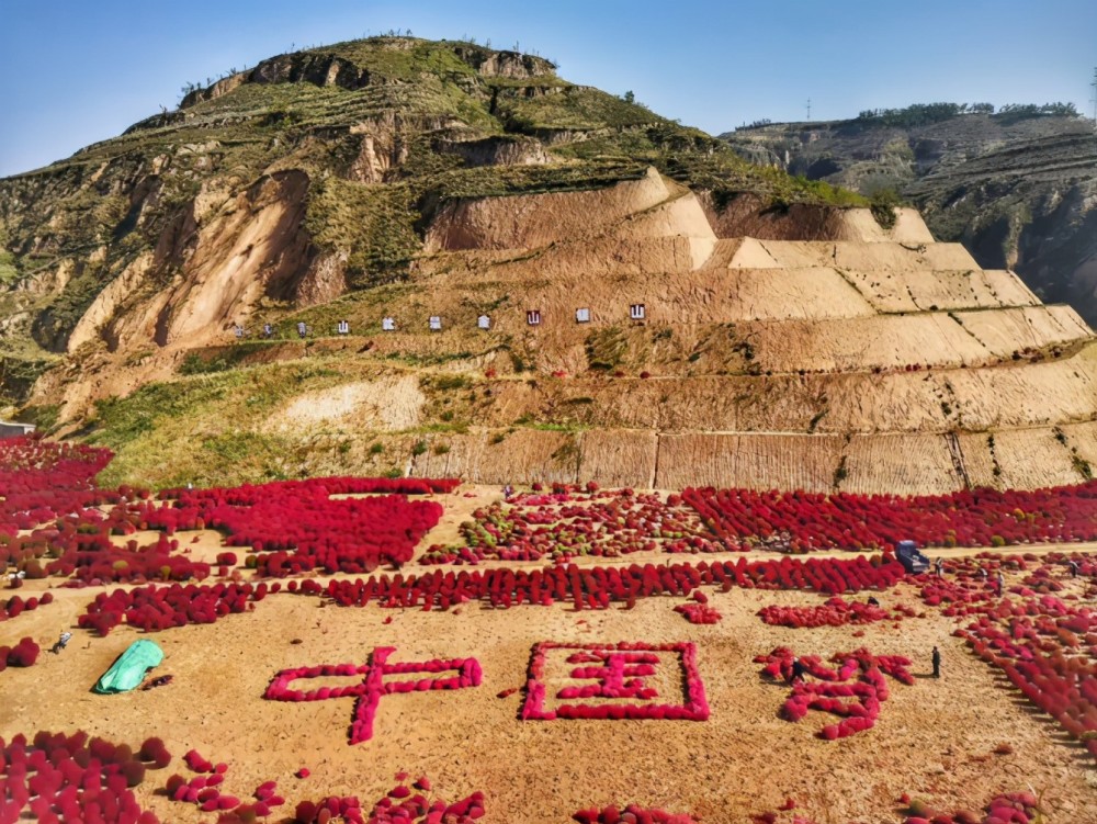柳林贾家垣乡曹家沟村:扫帚红了_腾讯新闻