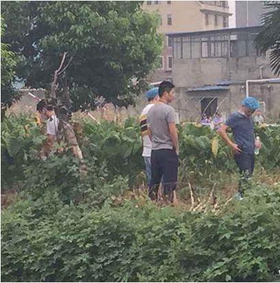 突发 浙江龙泉水槽发生命案 一男子把一女子杀害 现场看着让人揪心 龙泉市 浙江