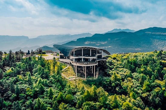 唱好双城记访重庆武隆白马镇村民靠采茶摘掉贫帽