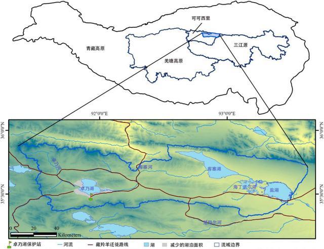 沙尘暴|气候变化，藏羚羊的产房正遭遇危机