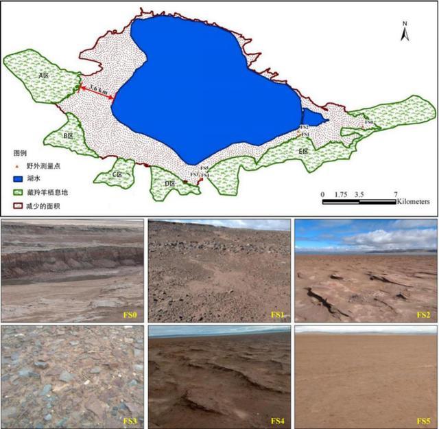沙尘暴|气候变化，藏羚羊的产房正遭遇危机