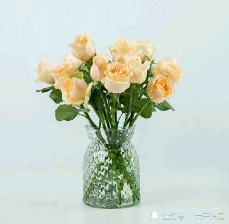 小楼昨夜又东风|古诗词与音乐的碰撞，经典的回忆之《小楼昨夜又东风》