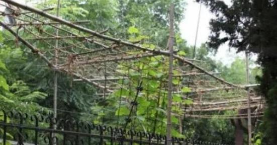 李连杰|李连杰上海豪宅罕曝光，闲置十年成“保安宿舍”，独家花园变菜棚