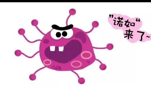 诺如病毒|是诺如病毒！成都一幼稚园11名幼儿出现呕吐、腹泻，通报来了