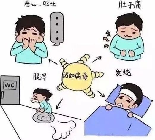 是诺如病毒成都一幼稚园11名幼儿出现呕吐腹泻通报来了