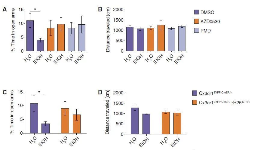 酒精|“一醉”不仅不能“解千愁”，反而让你更焦虑