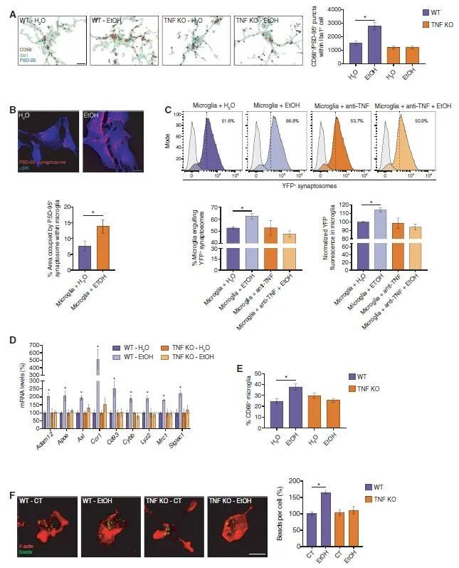 酒精|“一醉”不仅不能“解千愁”，反而让你更焦虑