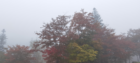 来临江溪谷景区看云开雾散后的五花山