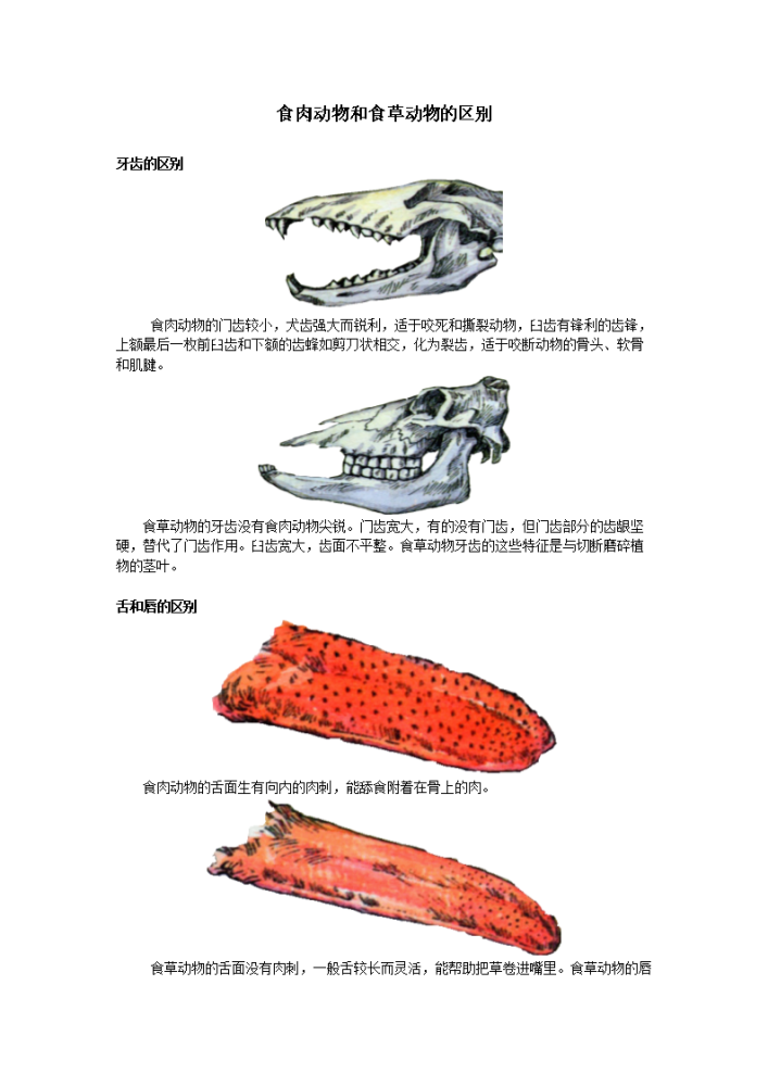 食草动物|食草动物生下来就被老虎狮子吃，它们为什么没有进化出反抗能力？