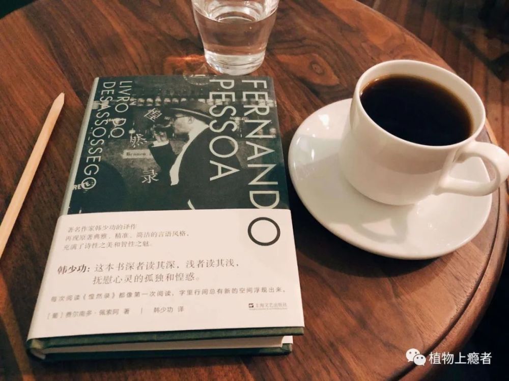 哲学|壹木读书会线上分享：一叶何以知秋？