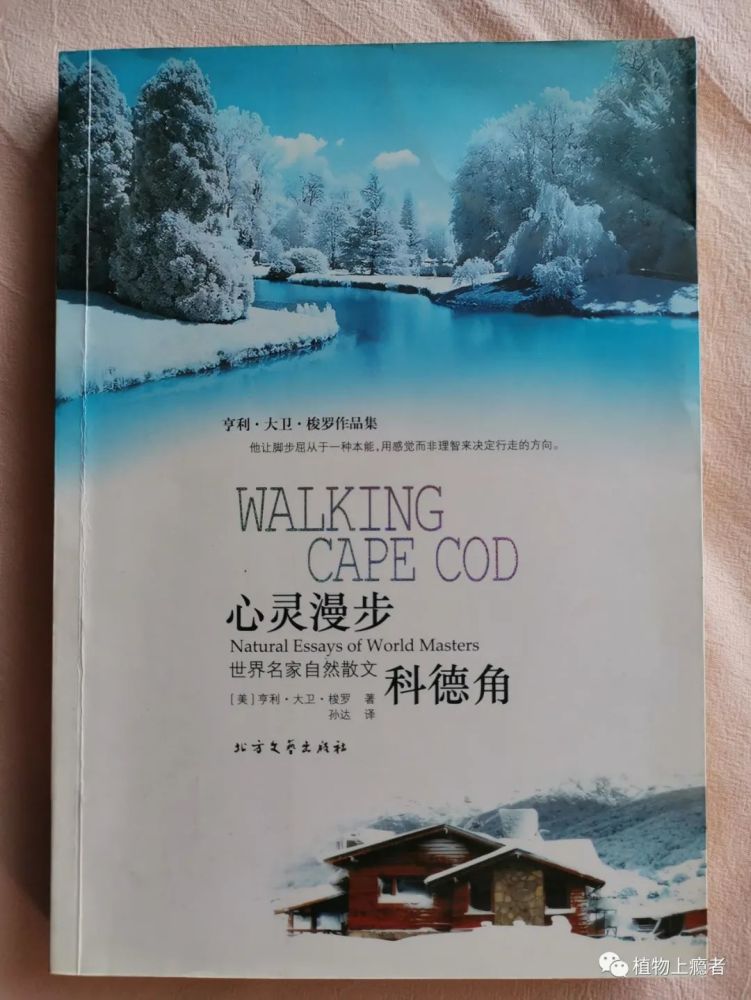 哲学|壹木读书会线上分享：一叶何以知秋？