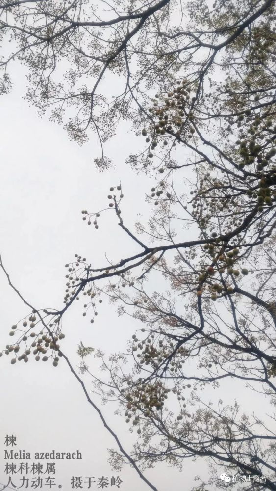 哲学|壹木读书会线上分享：一叶何以知秋？