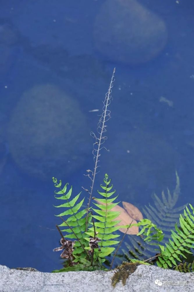 哲学|壹木读书会线上分享：一叶何以知秋？