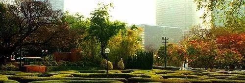 香港四大公园闹市中的宁静 腾讯新闻