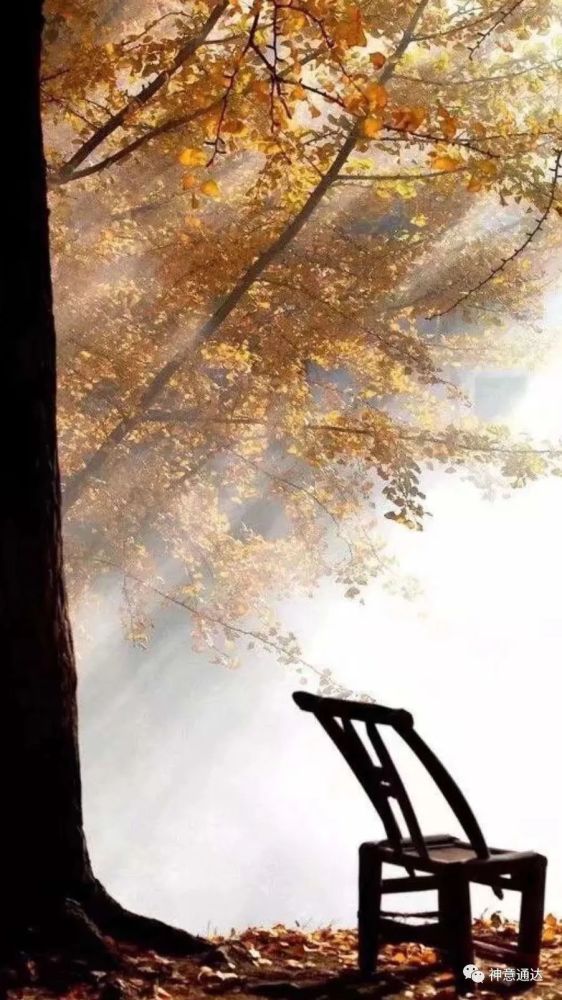 王阳明|如何在富贵贫贱中练心