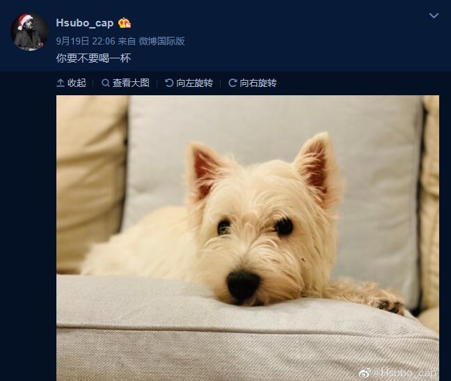 李亚鹏|李亚鹏生日女友零祝福疑分手，Susie新男友高调晒其宠物，被猜测已同居