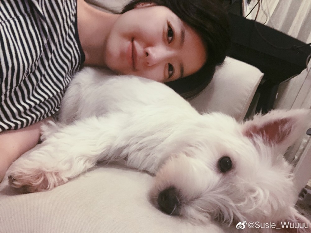 李亚鹏|李亚鹏生日女友零祝福疑分手，Susie新男友高调晒其宠物，被猜测已同居