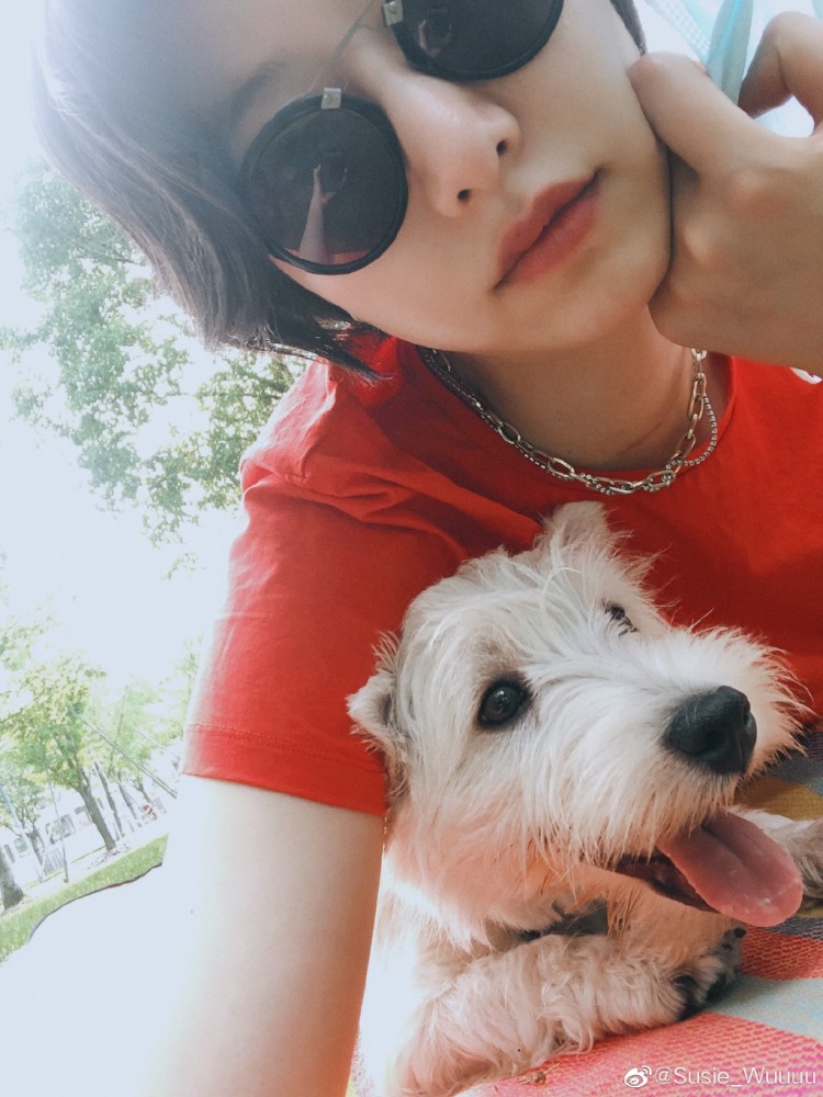 李亚鹏|李亚鹏生日女友零祝福疑分手，Susie新男友高调晒其宠物，被猜测已同居