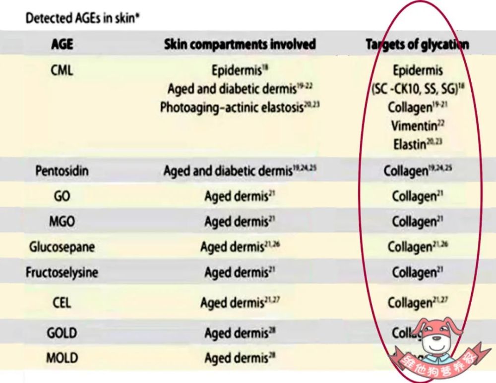 抗衰老|抗糖化真的能抗衰老吗？还是商家玩出的新套路？