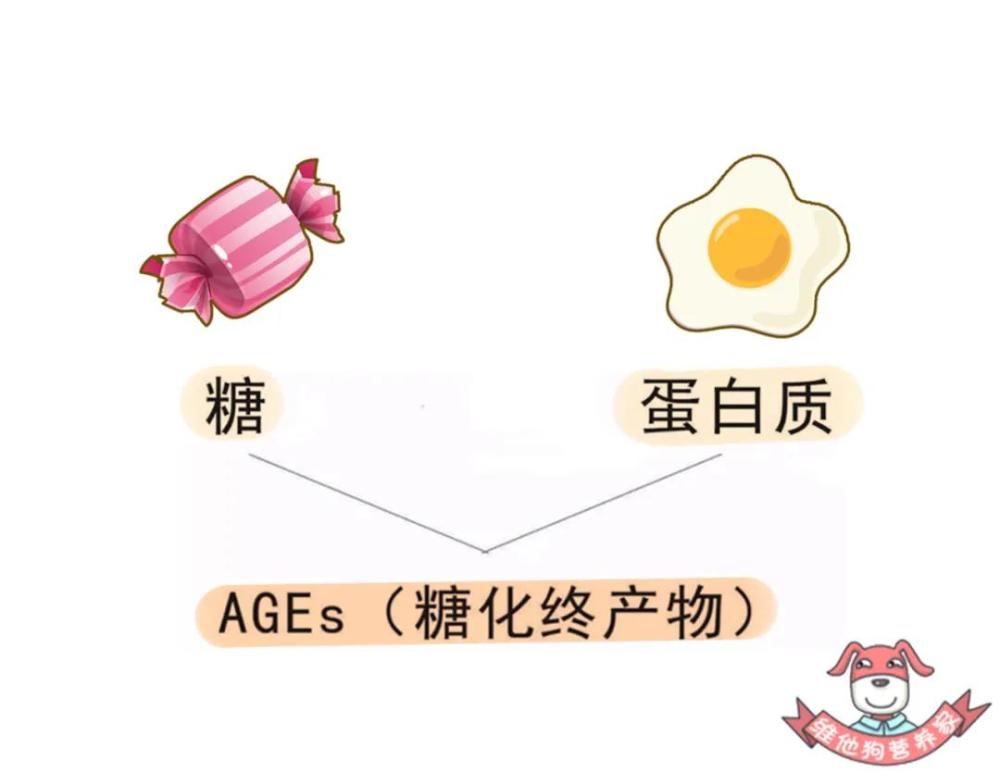 抗衰老|抗糖化真的能抗衰老吗？还是商家玩出的新套路？