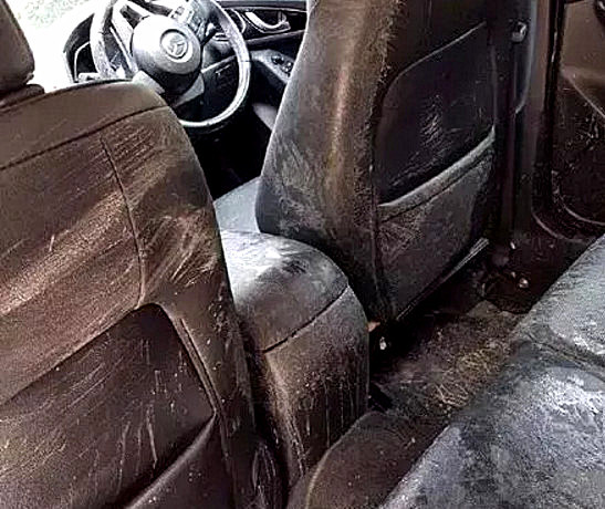 狗狗|两只哈士奇出门，玩到全身都是泥巴回家：没事，就是太废车了