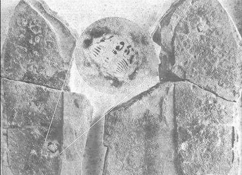 科学家|科学家发现数亿年前不该有的东西，人类是否要警惕呢？