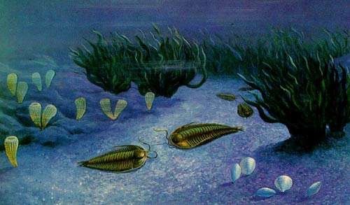 科学家|科学家发现数亿年前不该有的东西，人类是否要警惕呢？