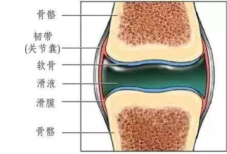 蹲下站起来时，膝盖响是怎么回事？