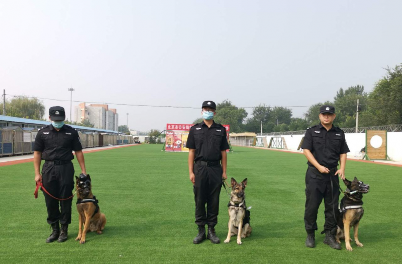 警犬|遥控摘口笼、超声波控制警犬……北京公交警方发布最新科研成果
