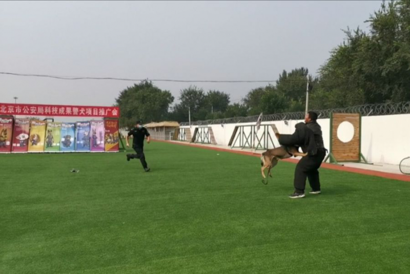 警犬|遥控摘口笼、超声波控制警犬……北京公交警方发布最新科研成果