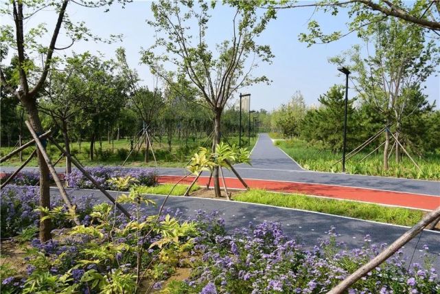 好消息昌平42公里绿道项目正式复工预计6月底建成投用