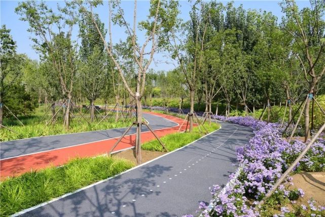 好消息昌平42公里绿道项目正式复工预计6月底建成投用