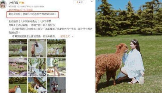 豪宅|有人家里小桥流水，有人为配家具而买房，看完明星的豪宅我沉默了