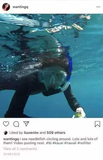 曲婉婷|从音乐才女到人人喊打，“大孝女”曲婉婷的心路历程