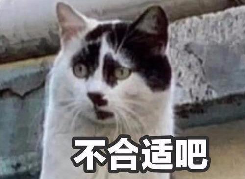 车型|北京车展撸猫遛狗，车型命名需要什么样的文化传承？