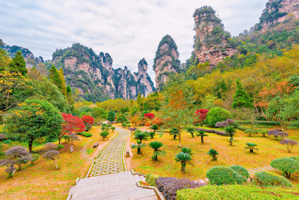 张家界国家森林公园---湖南旅游景点名胜古迹风景区图片(图4)