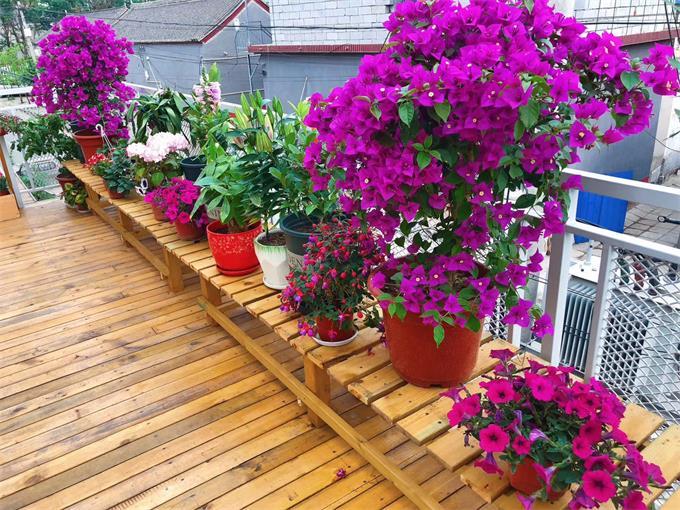 民宿|超惊艳的怀柔之上小苑民宿不仅建筑美，粉色的花园真是独一无二！