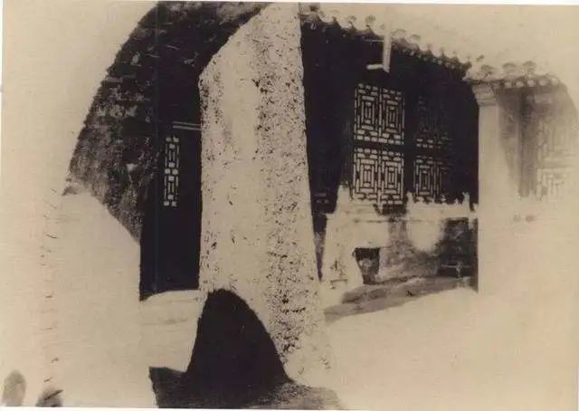 白塔寺|忆，补树书屋交互艺术展