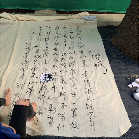 白塔寺|忆，补树书屋交互艺术展