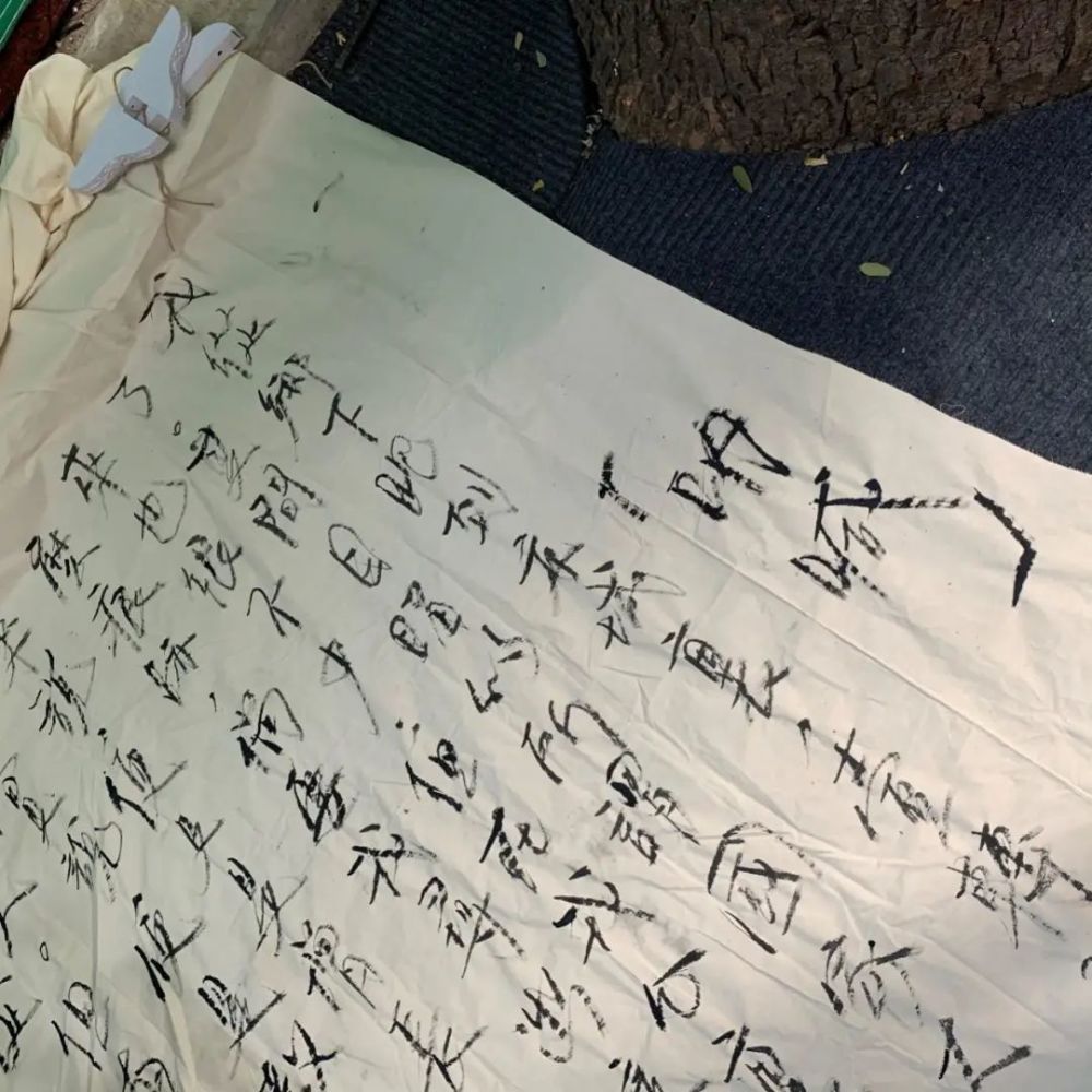 白塔寺|忆，补树书屋交互艺术展