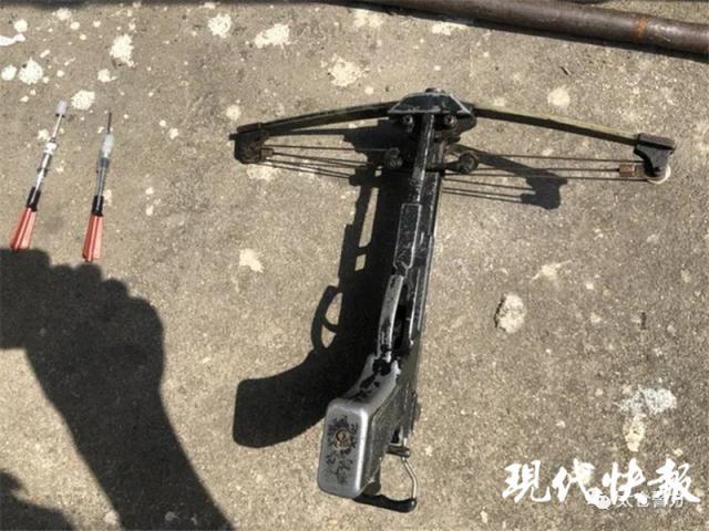 后备箱,坐垫下以及白色铁箱内,藏有被毒杀犬只七只,弩一把及毒镖四支